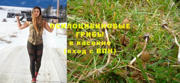 экстази Богородицк