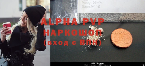 эйфоретик Богданович