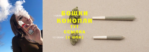 молекула духа Богородск