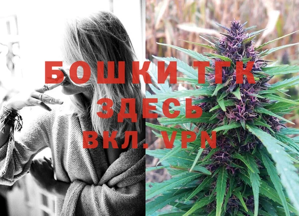 молекула духа Богородск