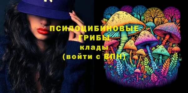 молекула духа Богородск