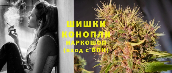 эйфоретик Богданович