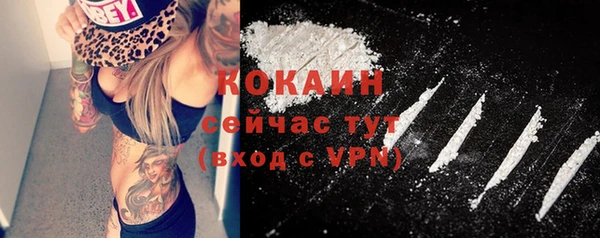 молекула духа Богородск