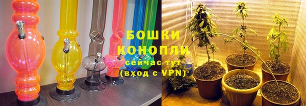 эйфоретик Богданович