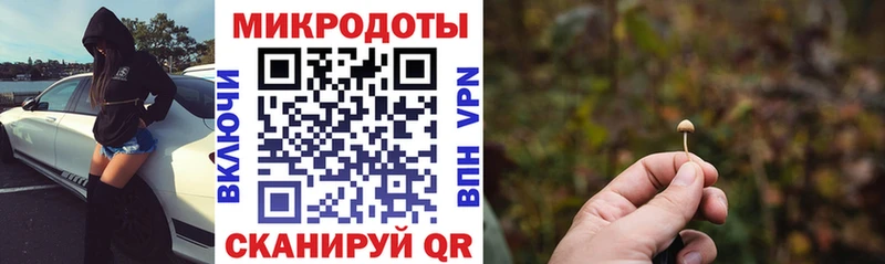 Галлюциногенные грибы мицелий  Тбилисская 